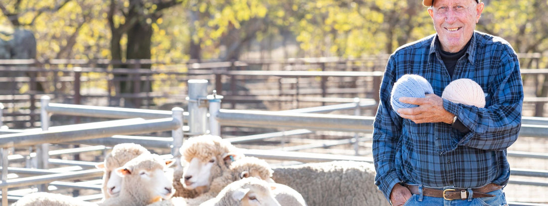 Roseville Corriedales & Wollemi Yarn