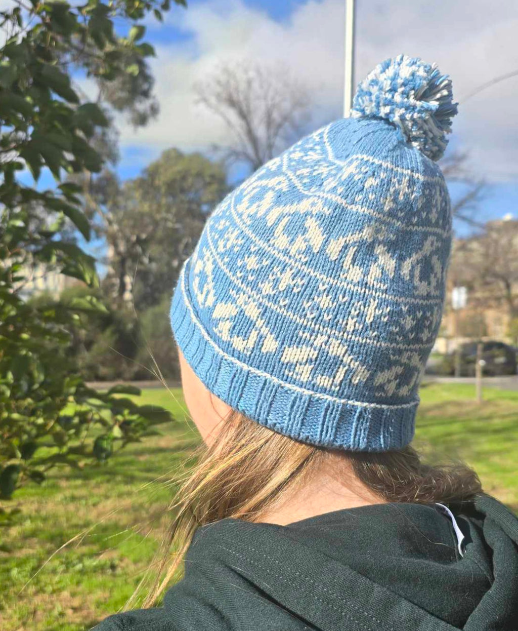 March of the Penguins Beanie PDF