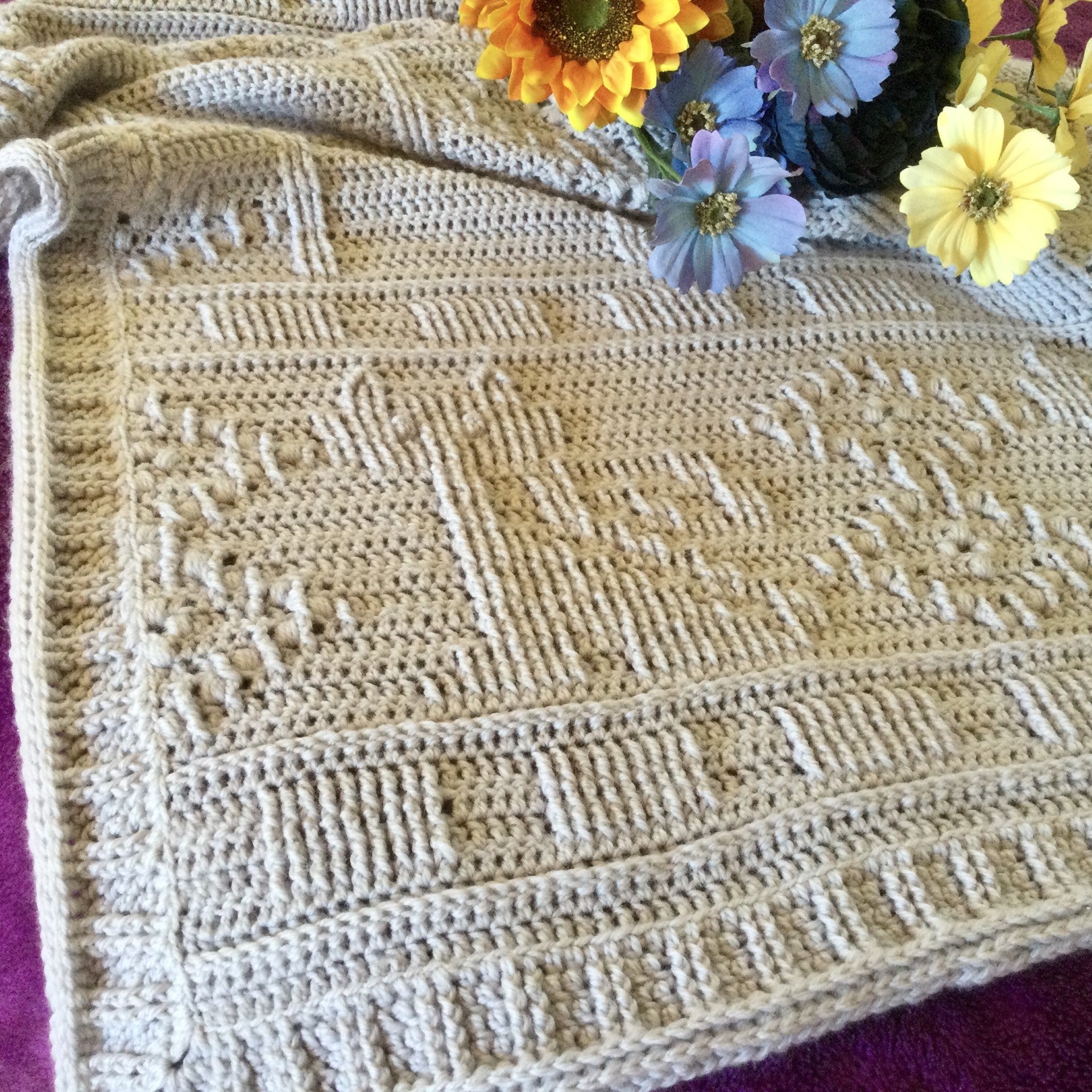 Meow Said the Cat PDF