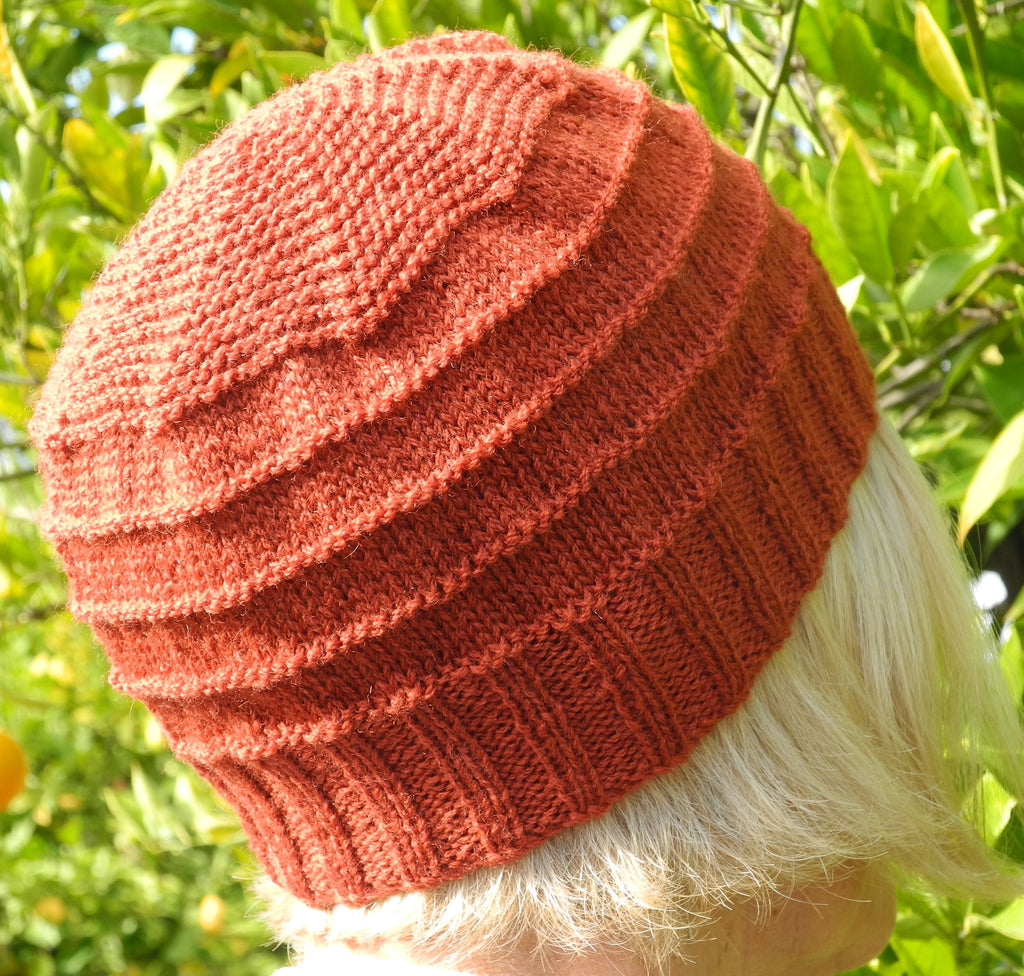 Circles Hat/beanie PDF