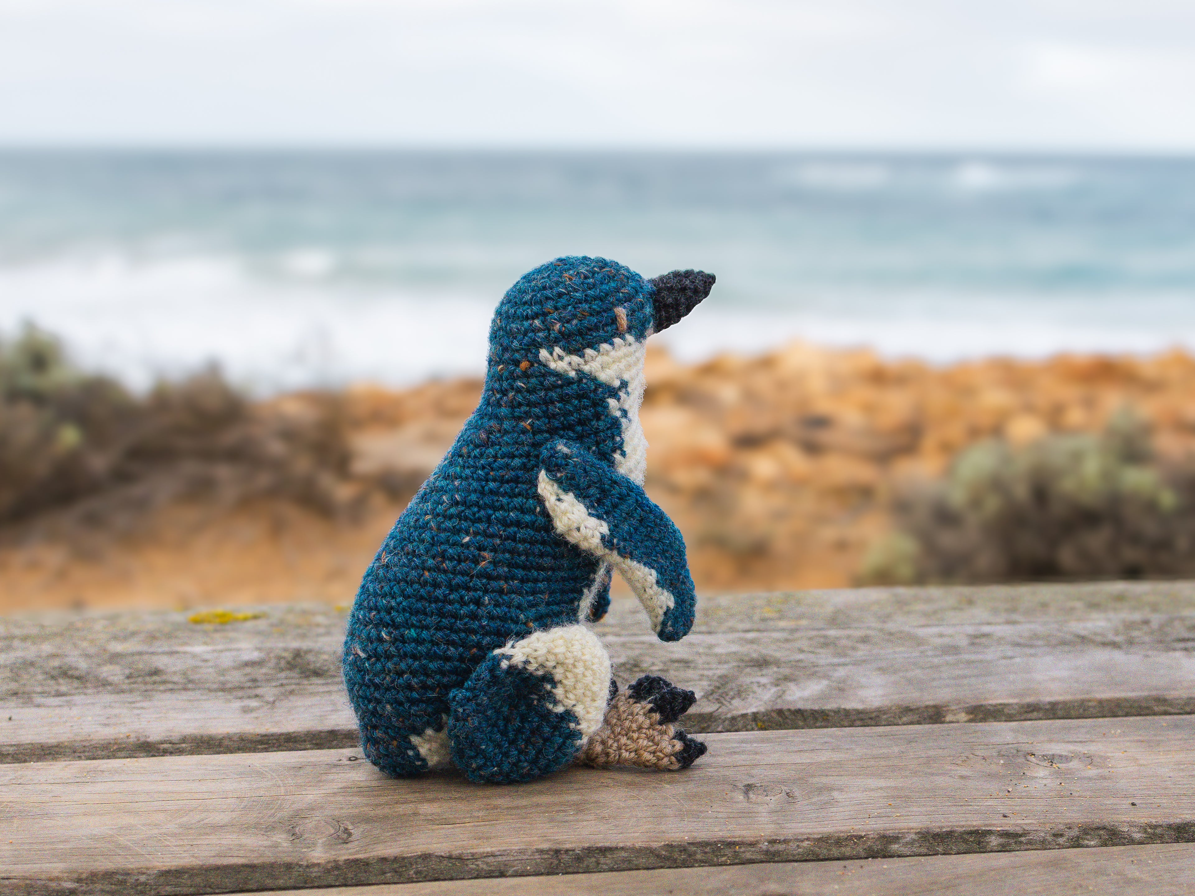 Isla the Fairy Penguin PDF