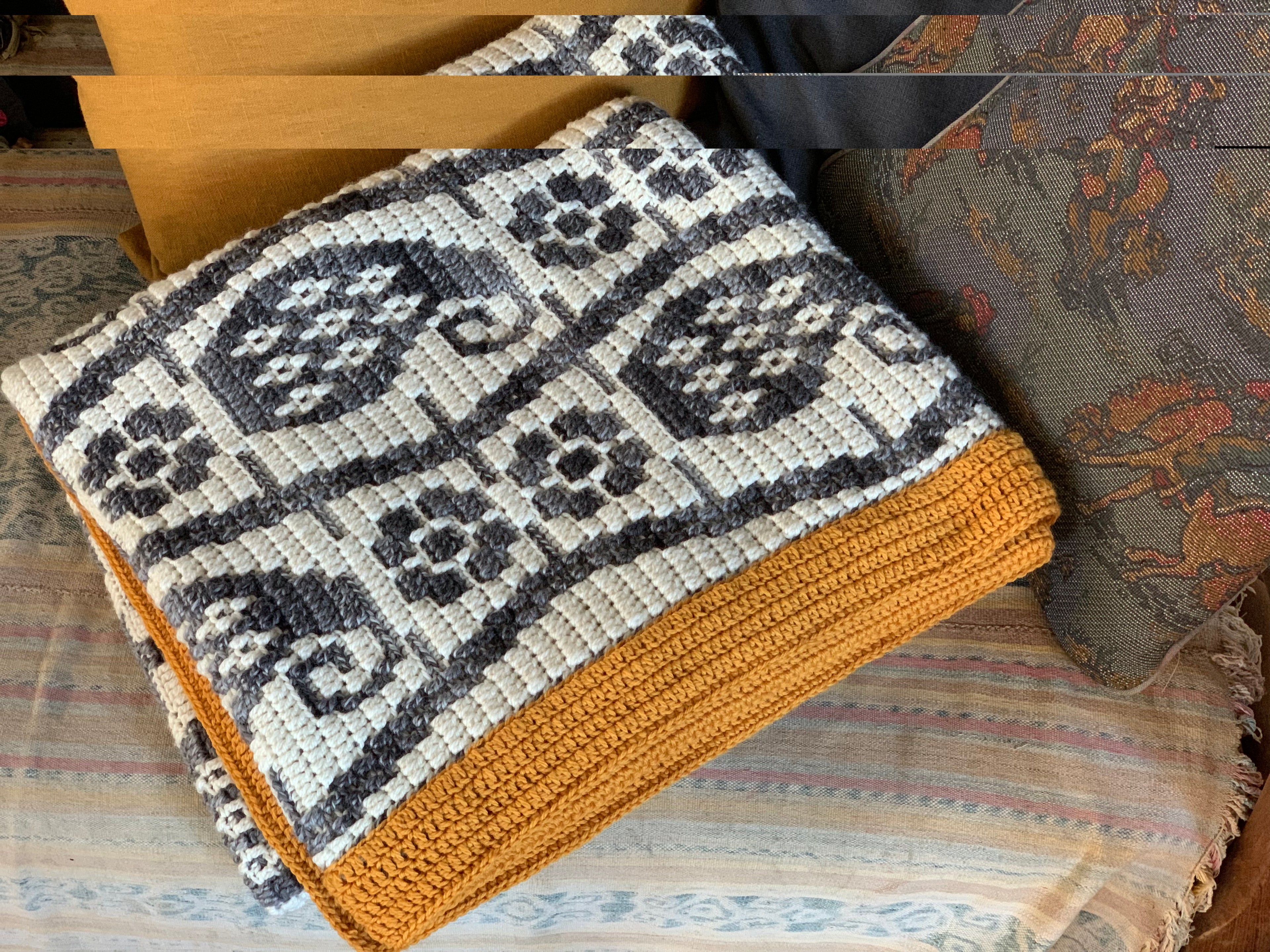 Paisley Path Afghan PDF