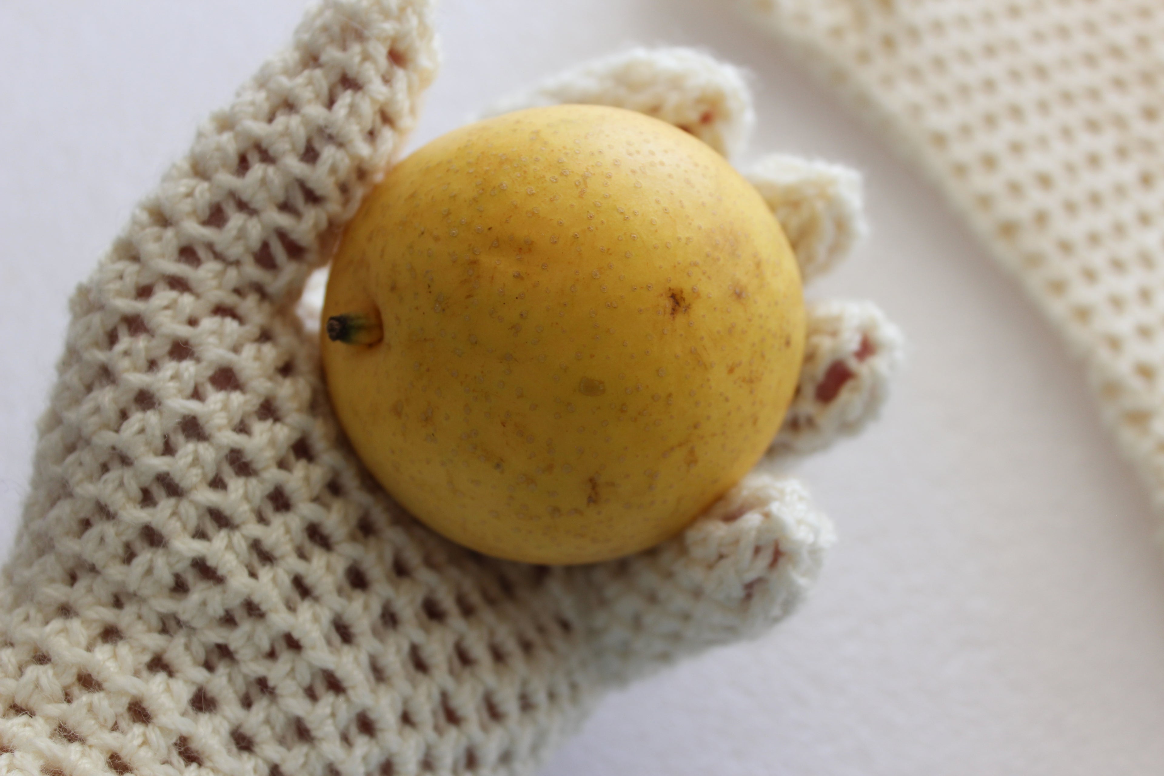 EasyFit Fingered Gloves PDF