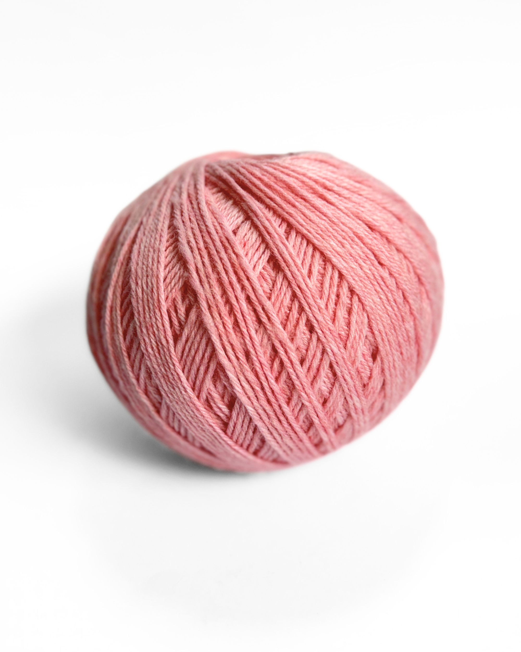 Wollemi 8 ply