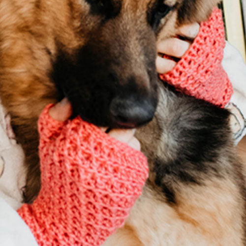 Trellis Mitts PDF