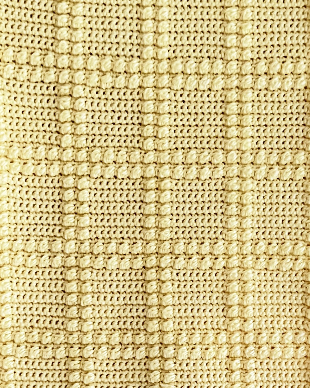 Berry Square Baby Blanket - Crochet Pattern | PT 8720