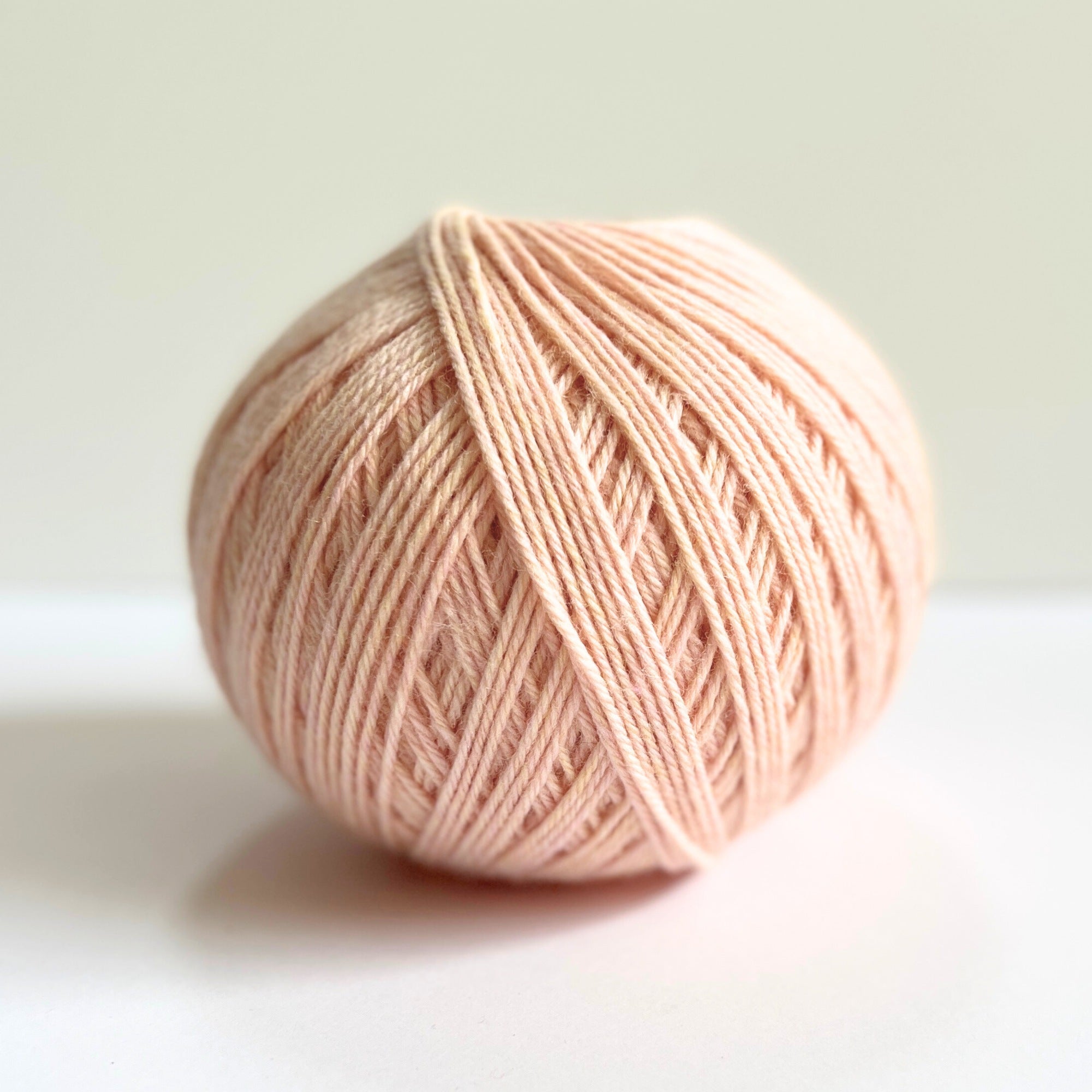 Wollemi 12 ply